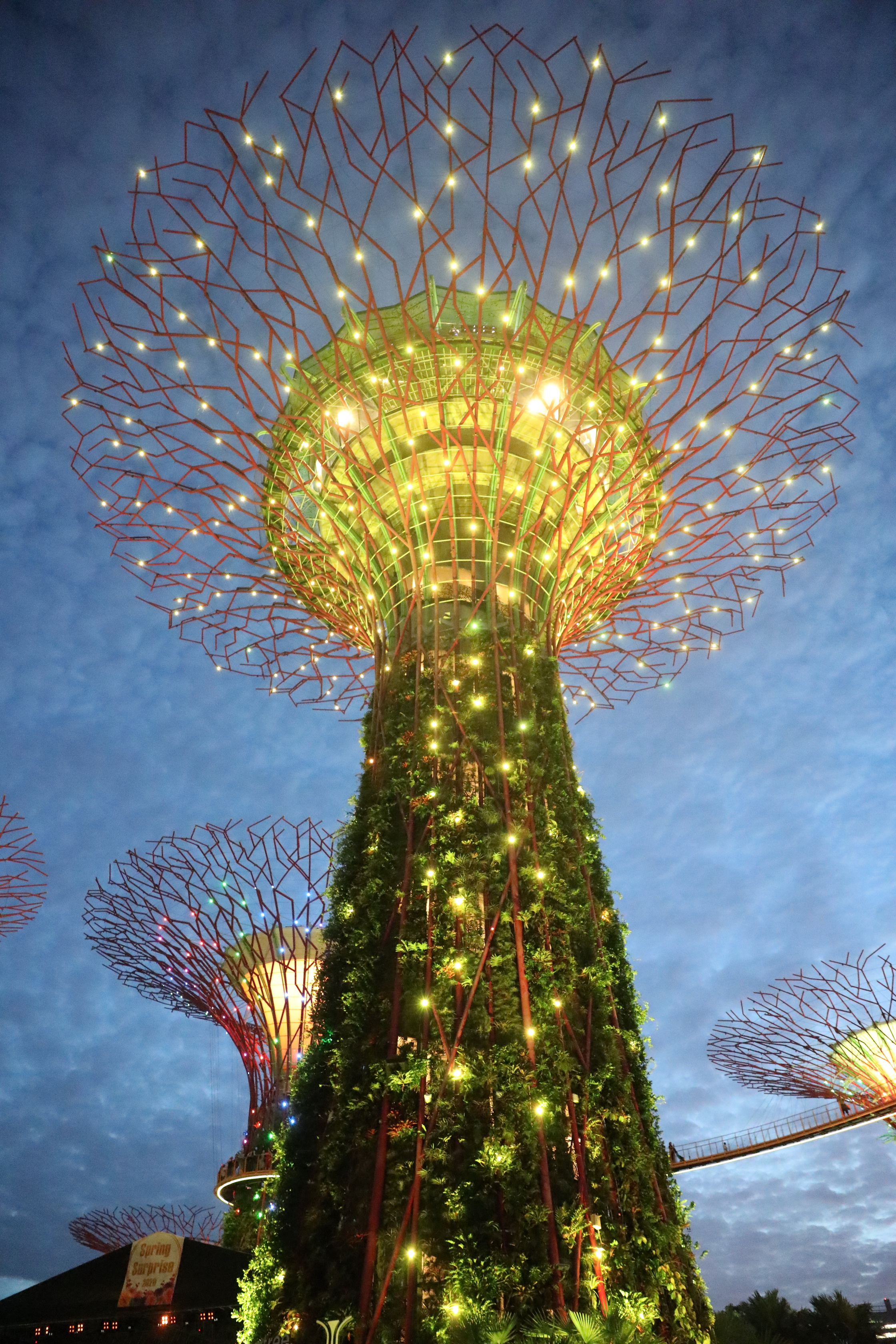 Supertree Grove Lightshow @ Gardens by the Bay